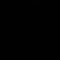 Anonimo