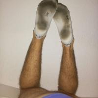 bogus31