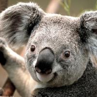 typerson