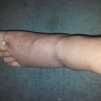 turkmaster