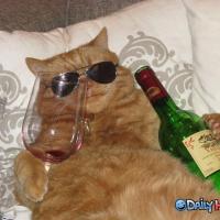 Sklaver