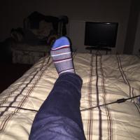 lockdownpig