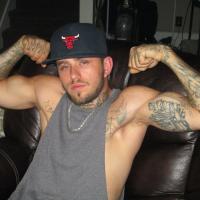 Sir Pit Bull