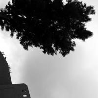 Izziayh