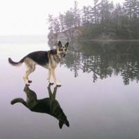 Master1991