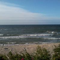 Rafal