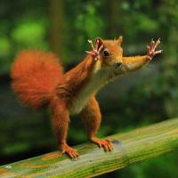 AAAWorshiper