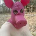 Piggy