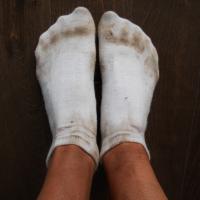 socksniffingfag