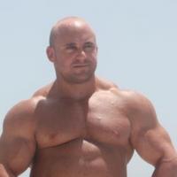 king of the jungle