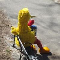 MASTER FULL