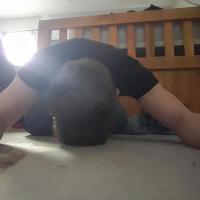 Fag