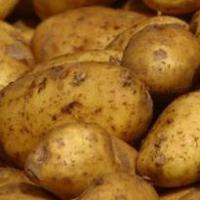 atran