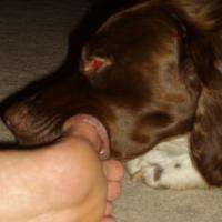 Blackdog93