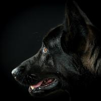 TX-Photo
