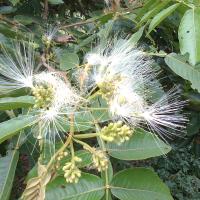 fgdghjghgf