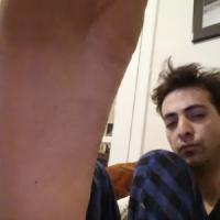 arabic master