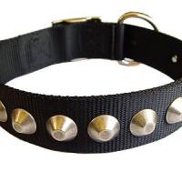 rhinosub