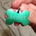 Pup Scout