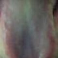 follador