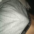 Briefs7777