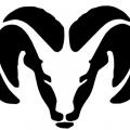 Master RAM