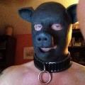 Bdaslavepig