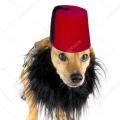 ArabSlave