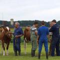 Farmertop
