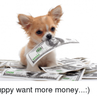 PuppyKinky