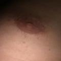 Slutnl