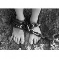 stupidfag4alpha