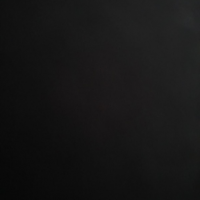 ari_kitten