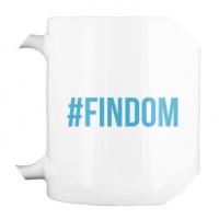 findomadviser