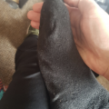 Sockworshipboi