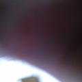 Thiagohotxxx