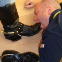pigoink