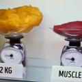 MasculineSub