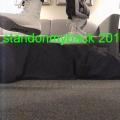 standonmyback