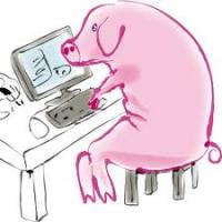 Paypigsub