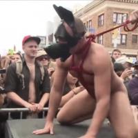 Humiliation Pig