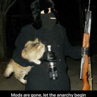 Prey_Boi