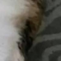 hornyboy124