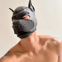 Gaysian Findom