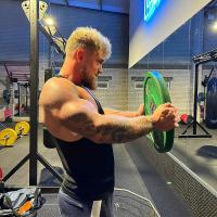 Alpha Viking