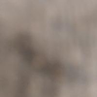 FootSniffer