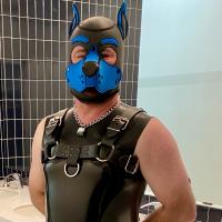 EntrancedPig
