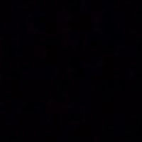 DiaperFagLoser