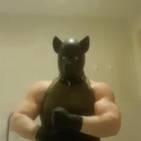 Cigar Pig