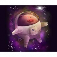 PigInSpace